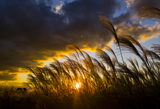 Sunrise at Haneul Park in Mapo District, western Seoul, on Oct. 18, 2018 [JOONGANG ILBO]