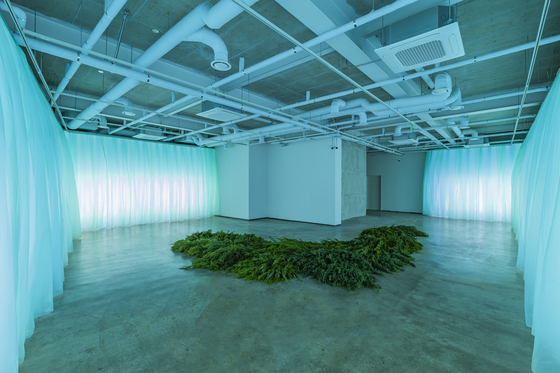 ″Le sol_soil″ by Park So-hee, middle, and ″Courtyard″ by Park Ki-won, as part of the ″When All Scenes are in Harmony″ exhibition at Project Space Line. [PROJECT SPACE LINE]