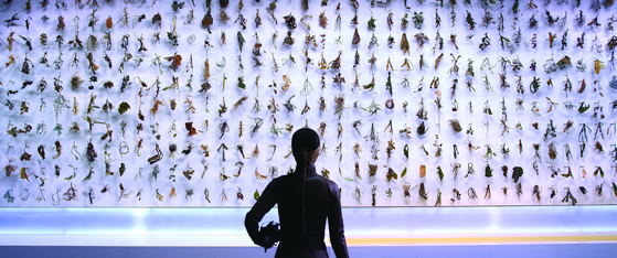 ″News from Nowhere″ (2011-12) by Moon Kyung-won and Jeon Joon-ho [MMCA]