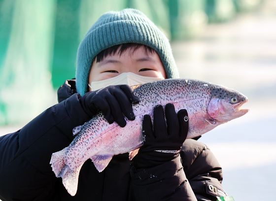 A kid poses with a trout in hand during the Pyeongchang Trout Festival in Pyeongchang County, Gangwon. [PYEONGCHANG TROUT FESTIVAL]