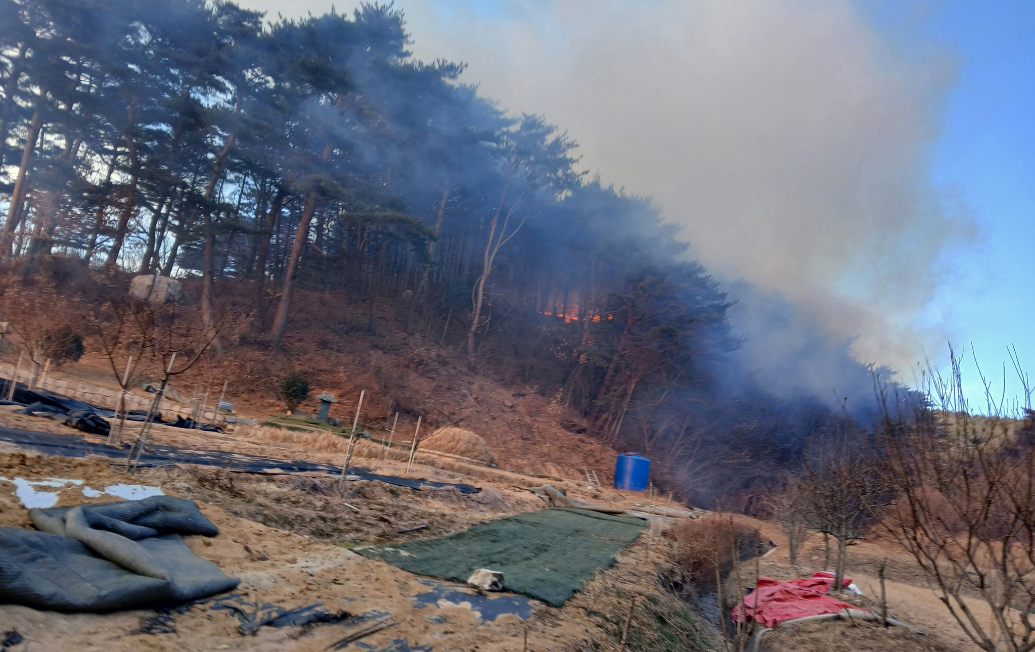 A fire breaks out on a mountain in Yeongdeok County, North Gyeongsang, on Jan. 12. [KOREA FOREST SERVICE]