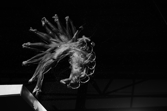 Diving at Aspire Dome - Gold Medal - Swimming & diving. A diver launches off the platform at the Aspire Dome in Doha.  [SHINYA TANAKA/WSPA]