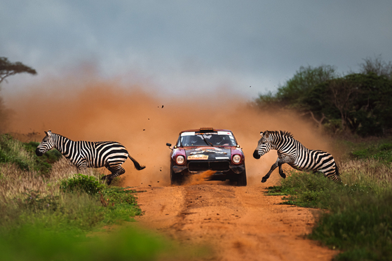 Zebra Crossing - Gold Medal - Motorsports. A close call for a pair of zebras during the East African Safari Classic Rally.  [ANTON ANESTIEV/WSPA]