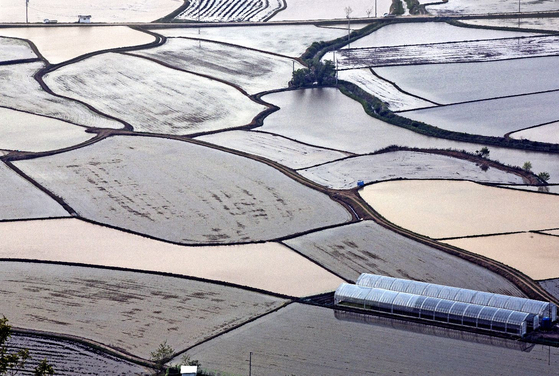 View of the plains from the Mount Soi in Cheorwon County, Gangwon [CHEORWON COUNTY]