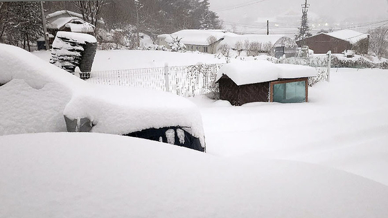 Snow is seen piled up at a village in Hoengseong, Gangwon on Jan. 28. [YONHAP]