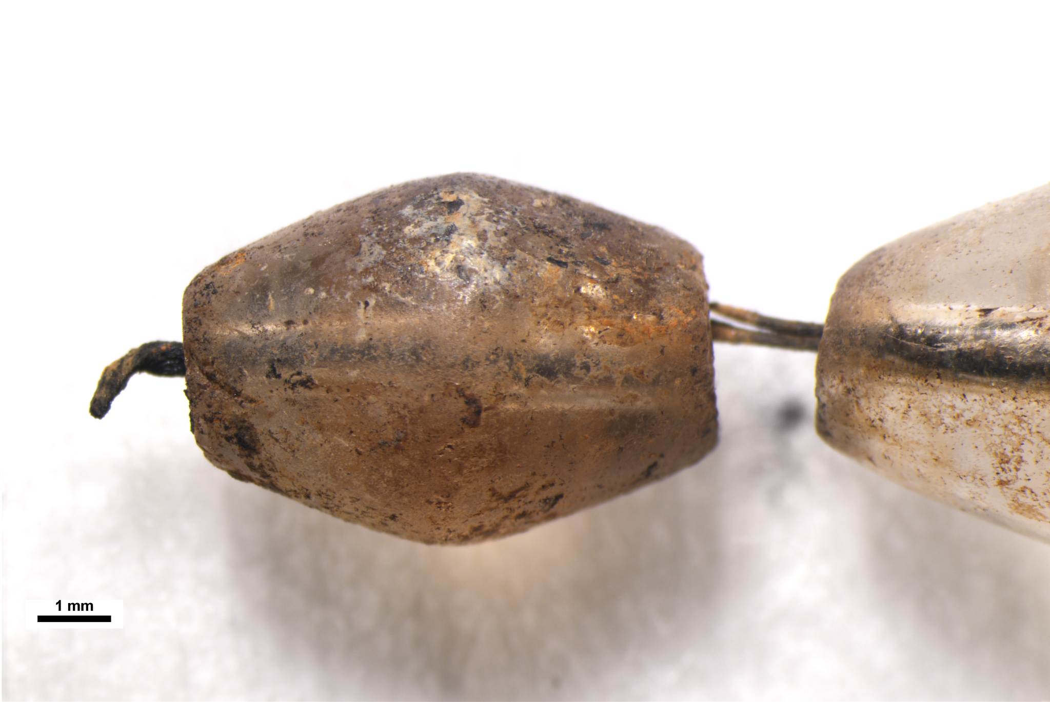 A lacquered wooden box containing a finely preserved crystal necklace, a rare luxury item of the time, was unearthed recently in Wolseong, a palace complex of the Silla Dynasty (57 B.C.-A.D. 935) located in Gyeongju, North Gyeongsang. [KOREA HERITAGE SERVICE] 