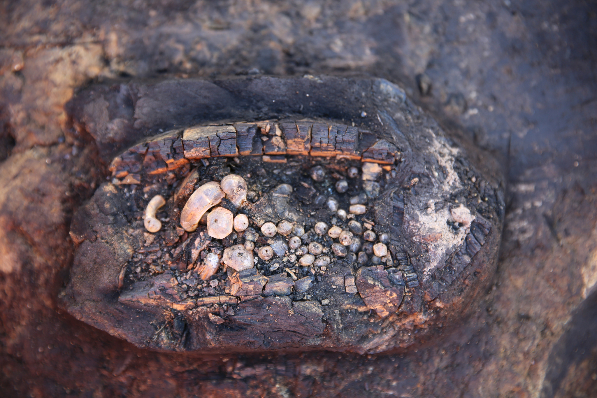 A lacquered wooden box containing a finely preserved crystal necklace, a rare luxury item of the time, was unearthed recently in Wolseong, a palace complex of the Silla Dynasty (57 B.C.-A.D. 935) located in Gyeongju, North Gyeongsang. [KOREA HERITAGE SERVICE] 