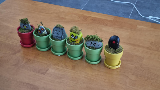  The "pet rocks" painted by six participants on Feb. 15 offer a glimpse into the general mood among the unmatched participants. This reporter's rock is second from the left. [YOON SO-YEON]