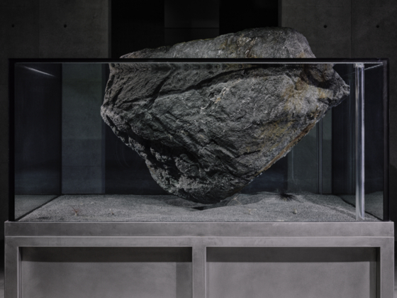 ″Cambrian Explosion 16″ (2018) by Pierre Huyghe [LEEUM MUSEUM OF ART]
