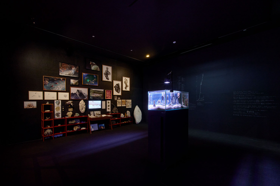 Works by Chang Han-na are on view at the Nam June Paik Art Center in Yongin, Gyeonggi, as part of the ″Random Access Project 4.0″ exhibition. [NAM JUNE PAIK ART CENTER]