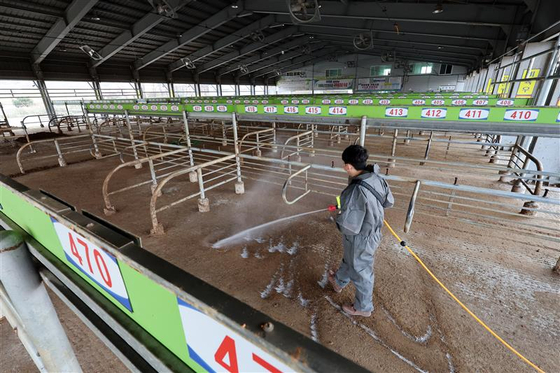 A livestock cooperative federation employee disinfects a livestock market in Yeongam, South Jeolla, on March 17 amidst an outbreak of foot-and-mouth disease, the first in almost two years. [YONHAP]