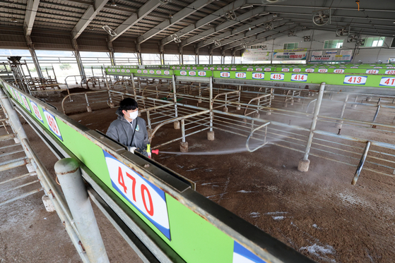 A livestock cooperative federation employee disinfects a livestock market in Yeongam, South Jeolla, on March 17, amidst an outbreak of foot-and-mouth disease, the first in almost two years. [YONHAP]