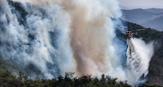 A helicopter from the Korea Forest Service disperses fire retardants across mountain ridges in Uiseong County in North Gyeongsang on March 23. [YONHAP] 