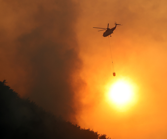 A helicopter pours water on the wildfire in Sangcheong County, South Gyeongsang, on March 23, three days after the fire started. [YONHAP] 