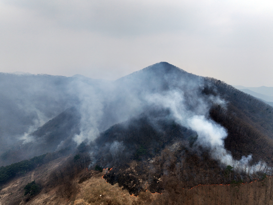 A wildfire spreads in the mountains of Uiseong County, North Gyeongsang, on March 27. [YONHAP] 