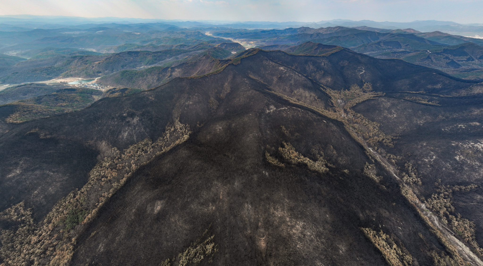 A mountain ridge is seen charred after the Uiseong fire swept through the area in North Gyeongsang on March 28. [YONHAP] 