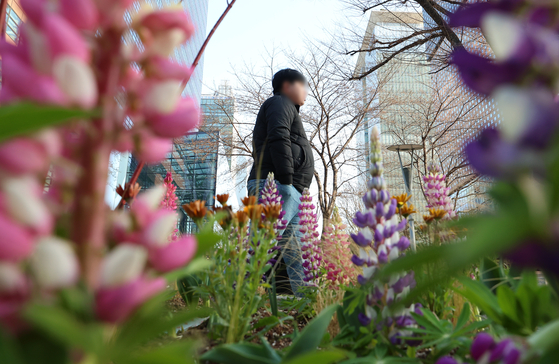 Pedestrians wearing thick clothing walk along a sidewalk behind flowers planted in Jongno District, central Seoul, on the morning of March 31, when cold spells were rampant across the country. [YONHAP]