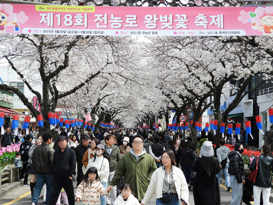 Festivalgoers are seen at the 18th Jeonnong-ro Cherry Blossom Festival in Jeju on March 30. [NEWS1]