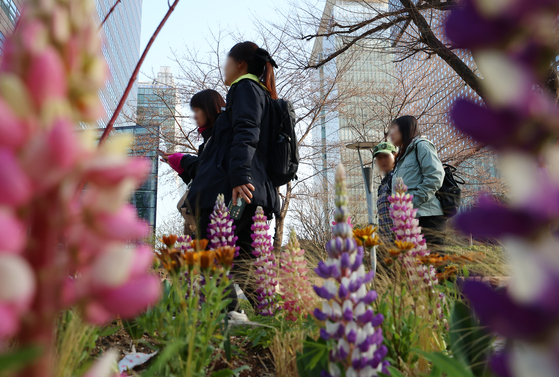 Pedestrians wearing thick clothing walk along a sidewalk behind flowers planted in Jongno District, central Seoul, on the morning of March 31, when cold spells were rampant across the country. [YONHAP]