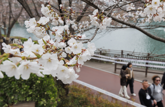 People walk in Seokchon Lake Park in southern Seoul on April 2. [YONHAP] 