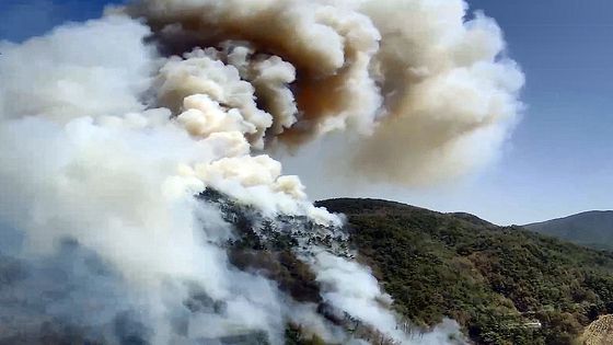 Smoke billows out from a forested hill in Okjong-myeon, Hadong County, South Gyeongsang on April 7. [KOREA FOREST SERVICE]