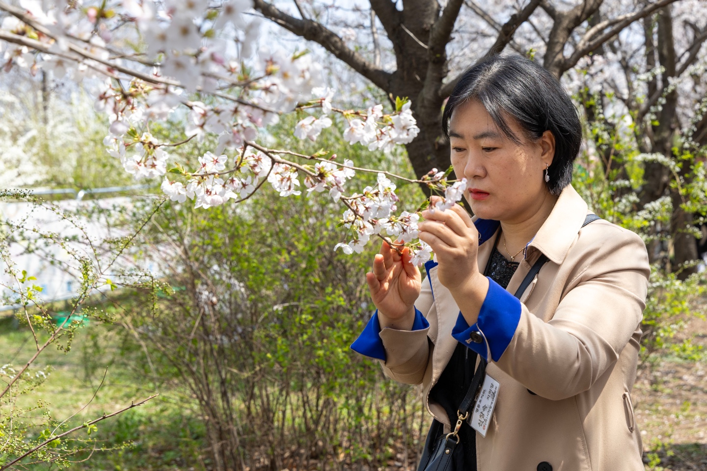 A blind resident touches flowers during Yeongdeungpo District's annual Spring Flower Festival in Yeouido, western Seoul, on April 8. [YEONGDEUNGPO DISTRICT OFFICE]