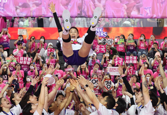 The Heungkuk Life Insurance Pink Spiders toss Kim Yeon-koung into the air after winning the 2024-25 V League Championship at Incheon Samsan World Gymnasium in Incheon on April 8. [NEWS1] 