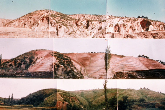 Forest growth at Yeongil Bay in Pohang over the years from 1973 to 1977 [KOREA HERITAGE SERVICE]