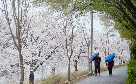 People holding umbrellas walk along the Gongjicheon trail in Chuncheon, Gangwon, as strong winds with snow and rain on April 14. [YONHAP] 
