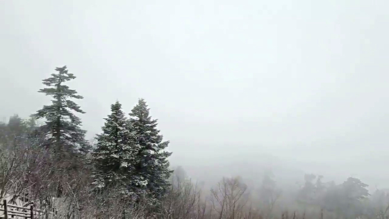 Mount Seorak in Gangwon covered in snow on April 13 [KOREA NATIONAL PARK SERVICE]