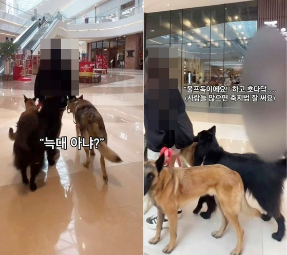 A woman walks through a department store with her dogs in a video shared on Instagram on April 10. [SCREEN CAPTURE]