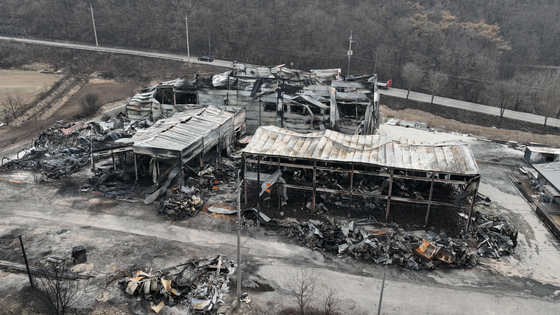 A factory in Uiseong, North Gyeongsang, is seen devastated by wildfires on March 28. [KIM JONG-HO]
