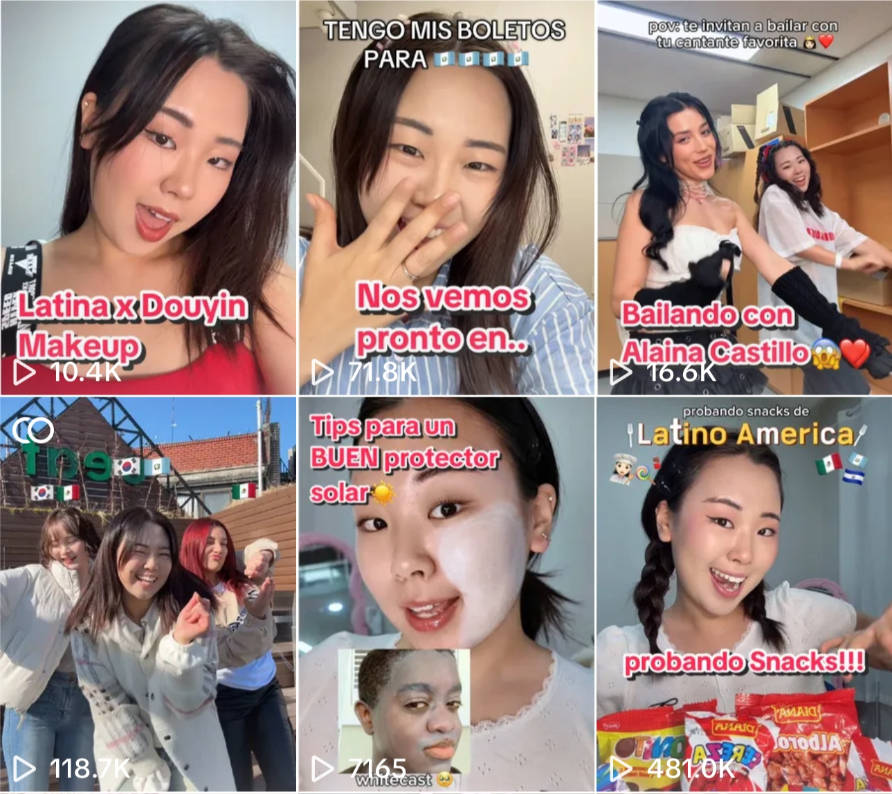 Screen capture of Mini's TikTok videos [SCREEN CAPTURE]