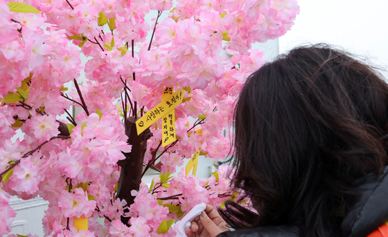 Families of victims of the Sewol ferry disaster hang yellow ribbons at a memorial service held in Jindo County, South Jeolla, on April 16. [NEWS1]