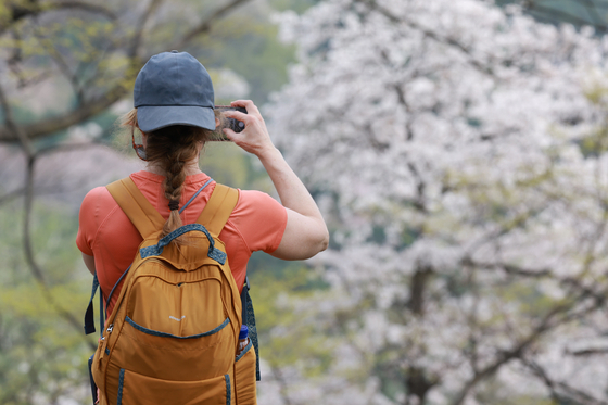 A tourist takes photos of cherry blossoms at N Seoul Tower in central Seoul as temperatures across Korea rose to early summer weather on April 17. [YONHAP] 