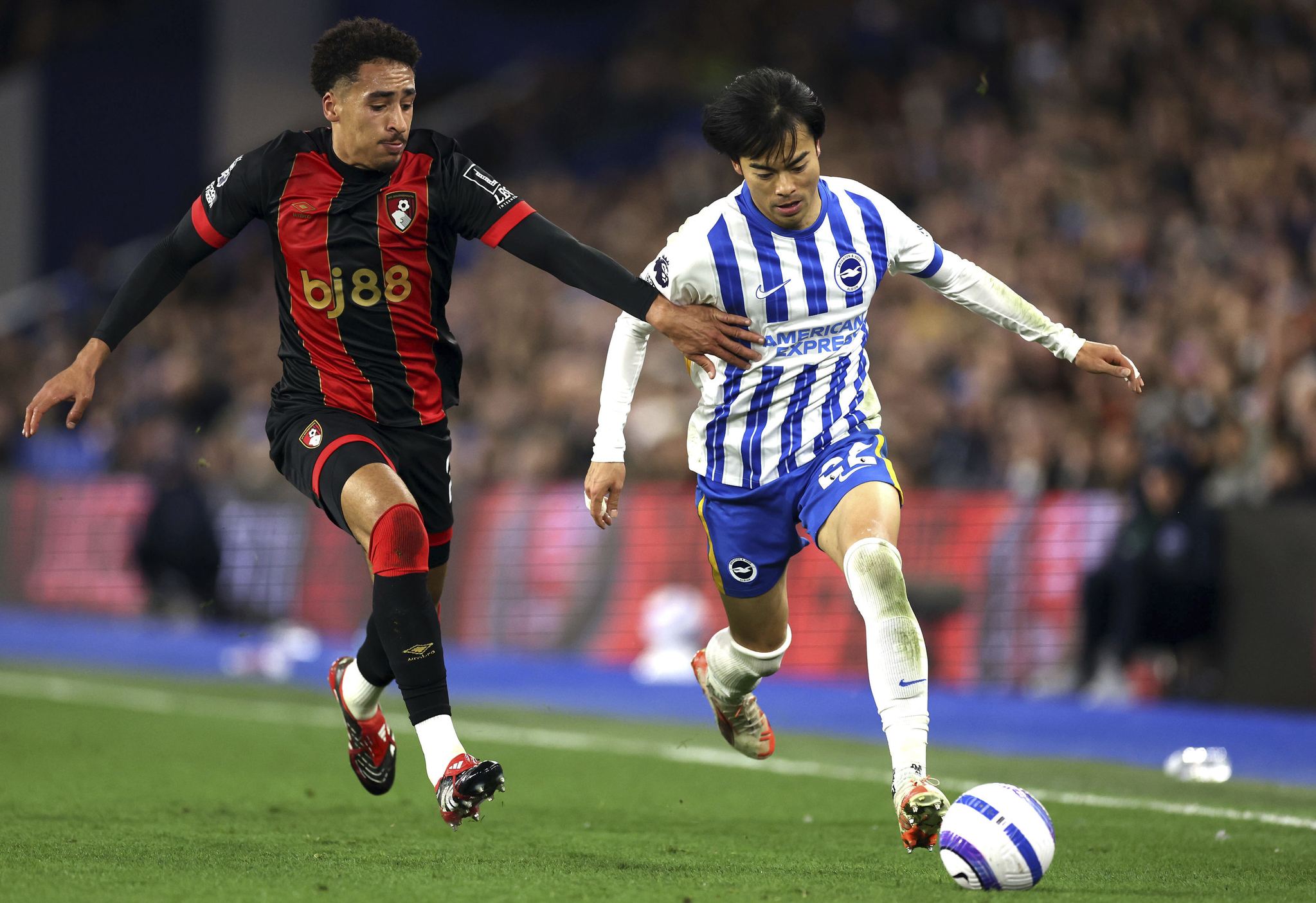 Brighton & Hove Albion forward Kaoru Mitoma, right, vies for the ball during a Premier League match against Bournemouth at American Express Stadium in Brighton, England, on Feb. 25. [AP/YONHAP] 