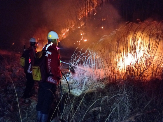 Firefighters work to contain a wildfire in Andong, North Gyeongsang, on April 25. [YONHAP] 