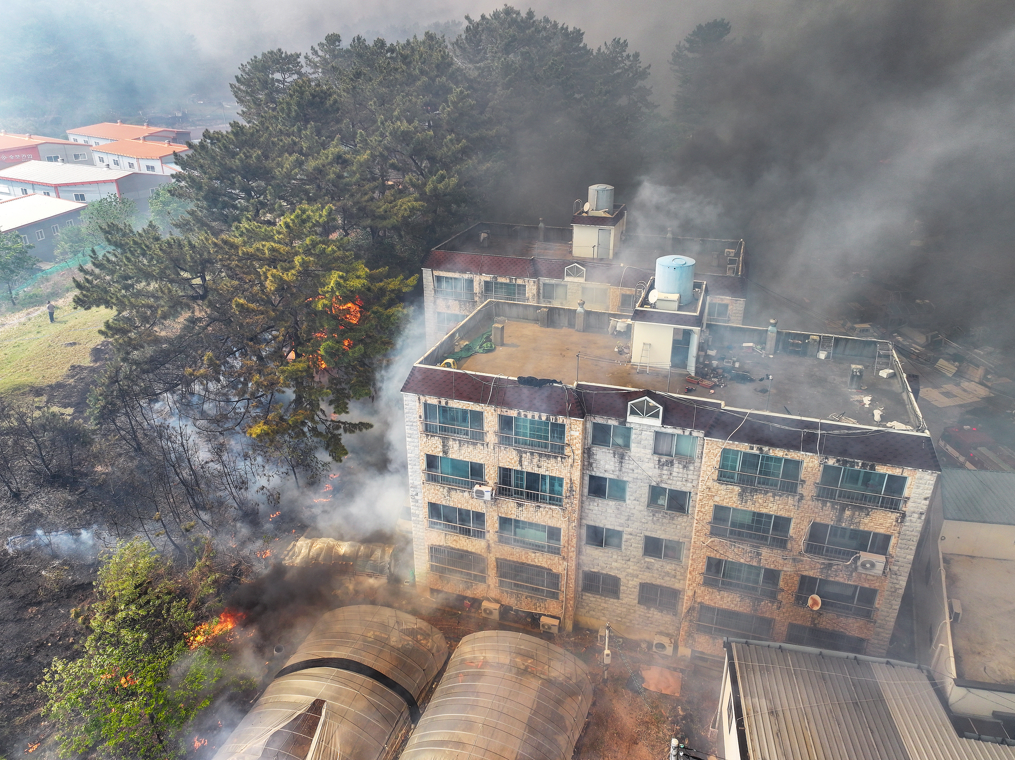 Fire authorities issued a Level 3 response to a fire that broke out at Mount Hamji in Daegu on April 28. [YONHAP] 