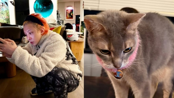 A picture of G-Dragon, left, and his cat [SCREEN CAPTURE]