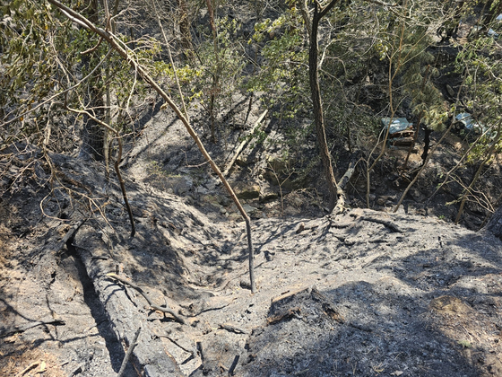 Forests on Hamji Mountain in Daegu are seen burned down from the wildfire on April 29. [NEWS1]
