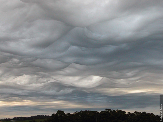 Asperitas clouds spotted on May 1. [JOONGANG ILBO]