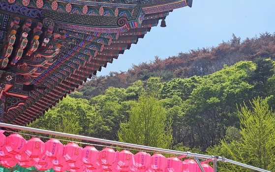 A scenic spot in Uiseong and Andong, North Gyeongsang, which suffered wildfire damage in April. [JOONGANG ILBO] 