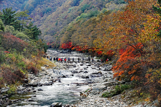 The Dutayeon Valley in Yanggu, Gangwon [YANGGU COUNTY]