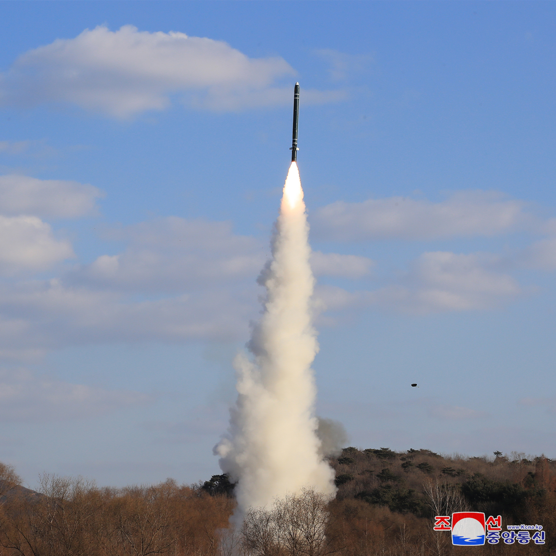 In this photo released by the Korean Central News Agency, a strategic cruise missile is being test-fired from an unspecified location in North Korea on Jan. 25. [YONHAP]