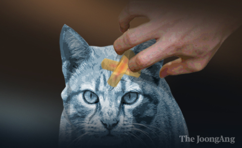 An illustration of animal abuse against cats [JOONGANG ILBO]