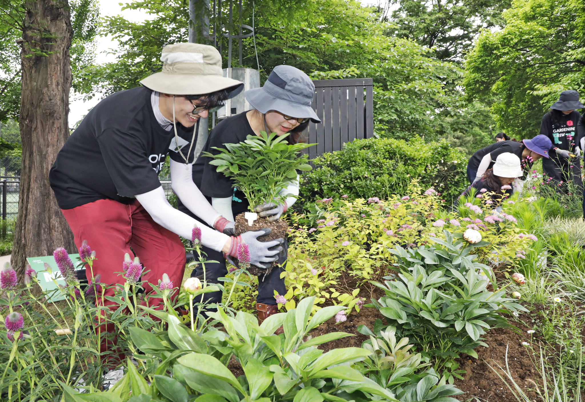 A couple carries a plant together while creating a garden at Boramae Park in Dongjak District, southern Seoul, as part of a city-run gardening club activity on May 21. [PARK SANG-MOON]