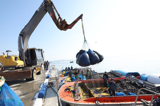 Fishermen transport seaweed in Shinan County, South Jeolla, on Jan. 26, 2024. [NEWS1]
