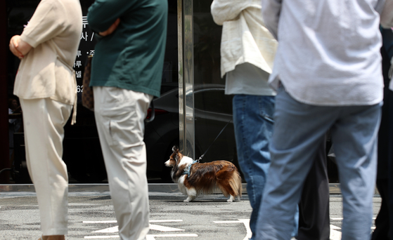 Tail of a good citizen — A dog waits outside a polling station set up at Wrestling No.1 Multi-Gym in Busan, while its owner casts a vote on June 3, the day of the 21st presidential election. [NEWS1]