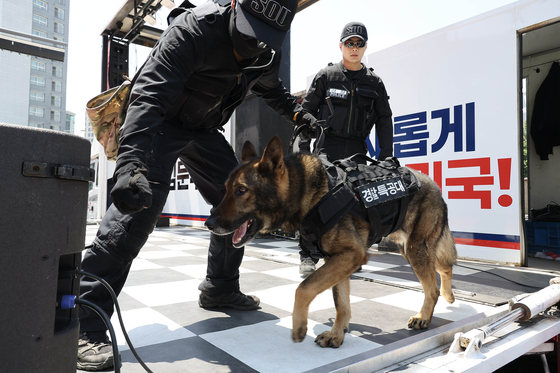 An explosive detection dog from a special police unit inspects the site of a campaign rally for Kim Moon-soo, the People Power Party’s presidential candidate, in front of a U.S. military base in Pyeongtaek, Gyeonggi, on the morning of May 26, 2025. [JOONGANG ILBO]