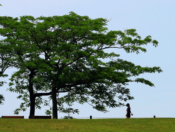 A citizen takes a walk in the Olympic Park in Songpa District, southern Seoul, on June 5. [NEWS1]
